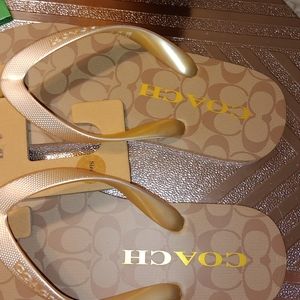 Woman Coach Sandals